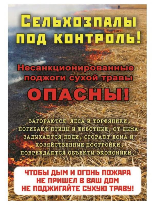 Плакаты по пожарам в лесу_4_1